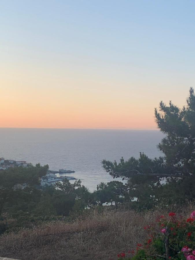 Appartement αρμονια στουντιο